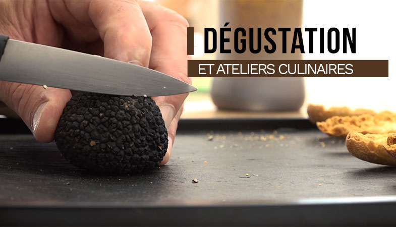 Dégustation et ateliers culinaires