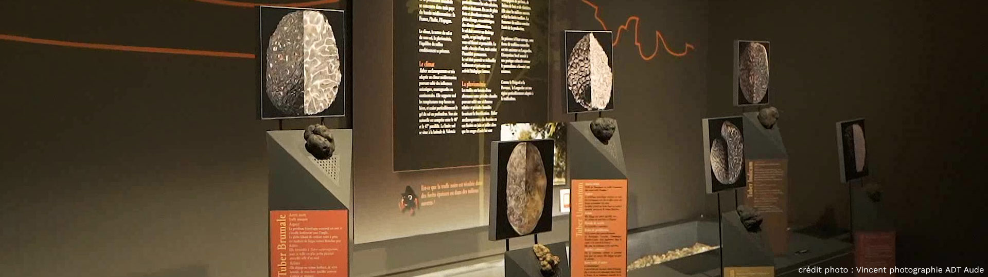 Visite individuelle à la maison de la truffe d'Occitanie