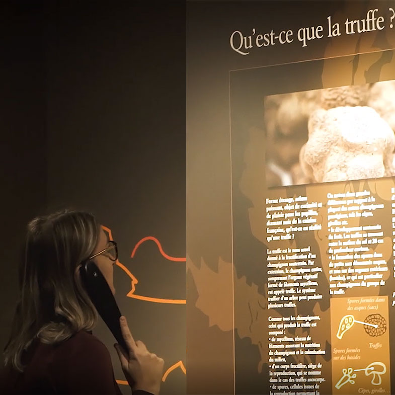 Visite individuelle au musée de la truffe