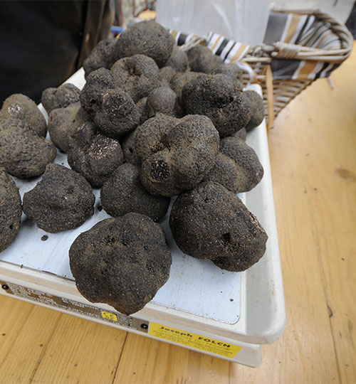 Marchés de la truffe